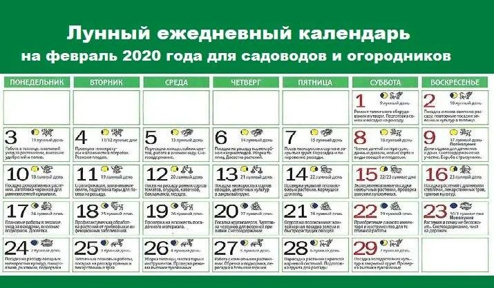 Плодородные знаки зодиака по лунному календарю 2024. Посадочные дни в феврале. Календарь огородника на февраль. Лунный календарь садовода на февраль. Посевные дни в феврале.