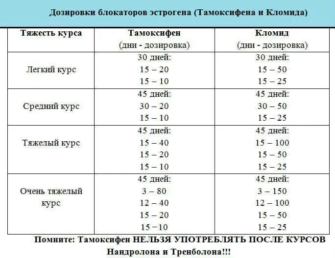 Эндометрий при тамоксифене. Кломид ПКТ дозировки. ПКТ Кломид схема. Схема приема тамоксифена. Схема приема кломида.
