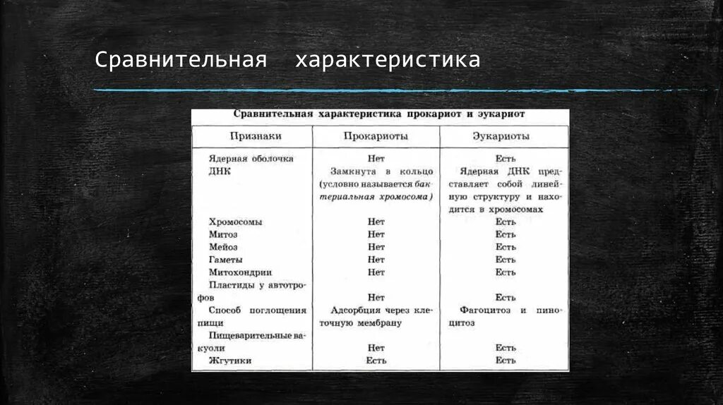 Сравните прокариот и эукариот. Сравнение прокариот и эукариот таблица. Таблица по биологии 10 класс прокариоты и эукариоты. Сравнительная характеристика прокариот и эукариот. Сравнительная характеристика клеток прокариот и эукариот.