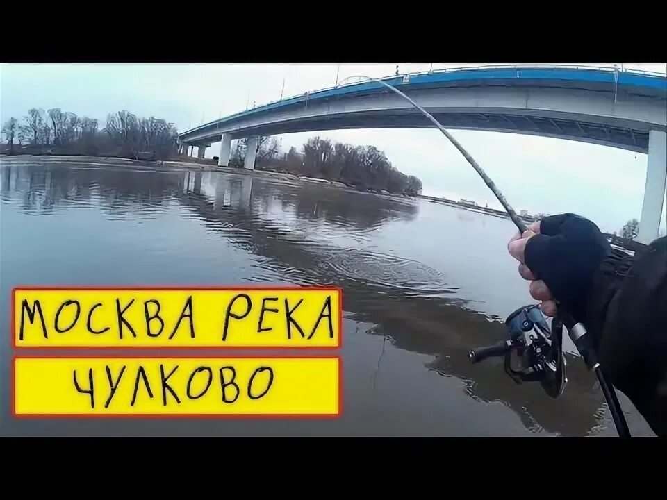 Рыбалка в чулково на москва реке. Рыбалка на москва реке места. Обитатели москвы реки. Река москва воскресенск рыбалка. Зимний спиннинг в чулково.