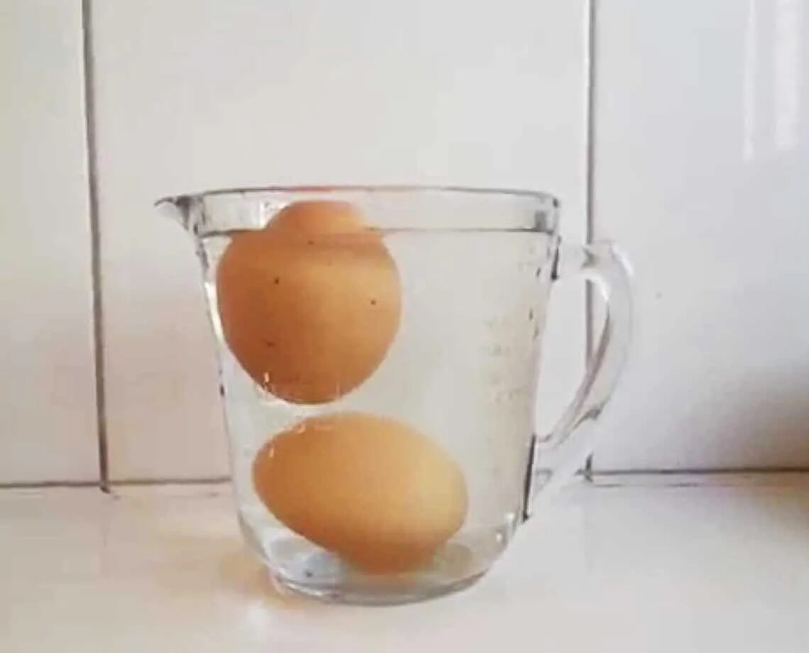 Яйцо в воде. Свежее яйцо в подсоленной воде. Яйцо в стакане. Свежесть сырых яиц. Свежесть сырого яйца
