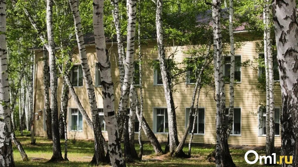 Детские лагеря омская область. Детские лагеря омская область. Детский лагерь карбышева. Лагерь зарница омск. Лагерь.