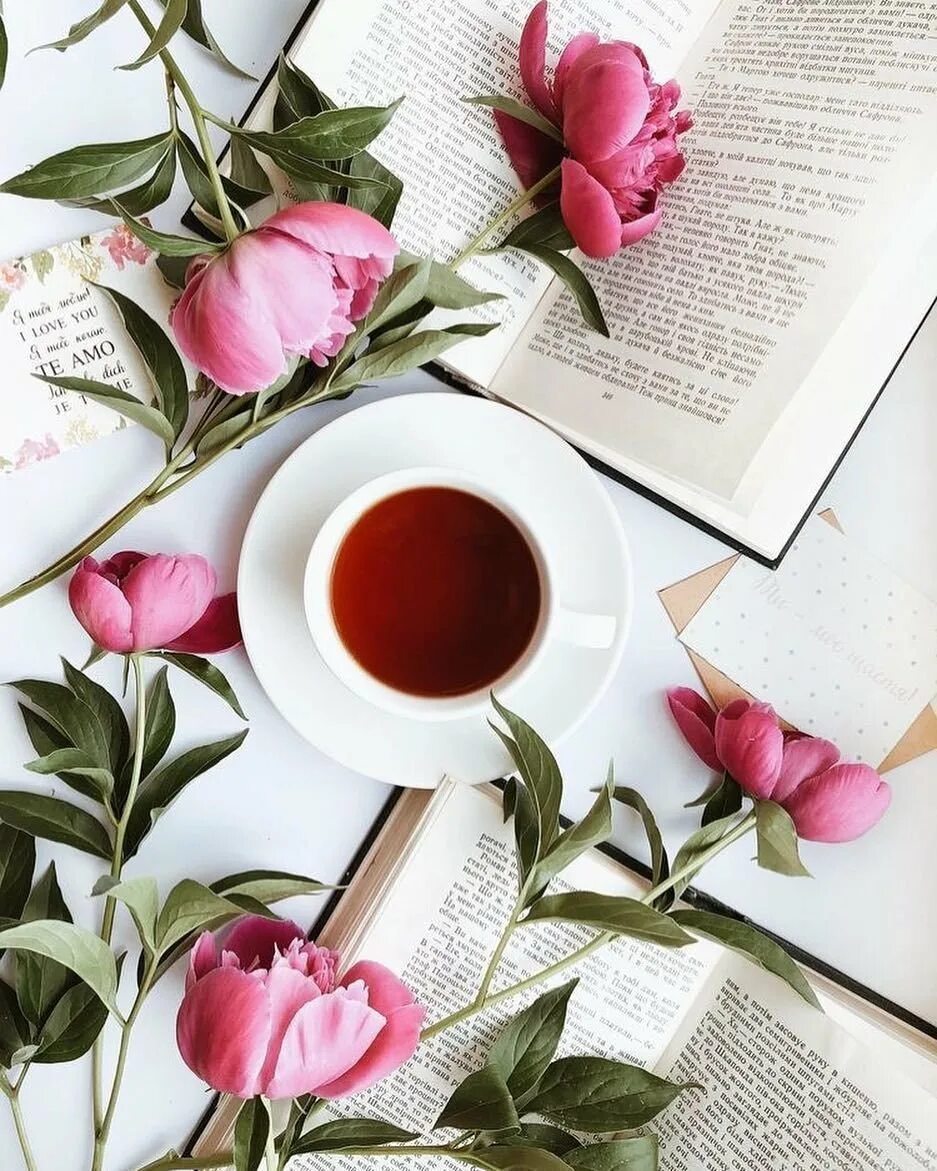 Книга цветы пиона. Букет в книге. Цветы лежат на столе. Натюрморт с пионами. Пионы и книги эстетика.