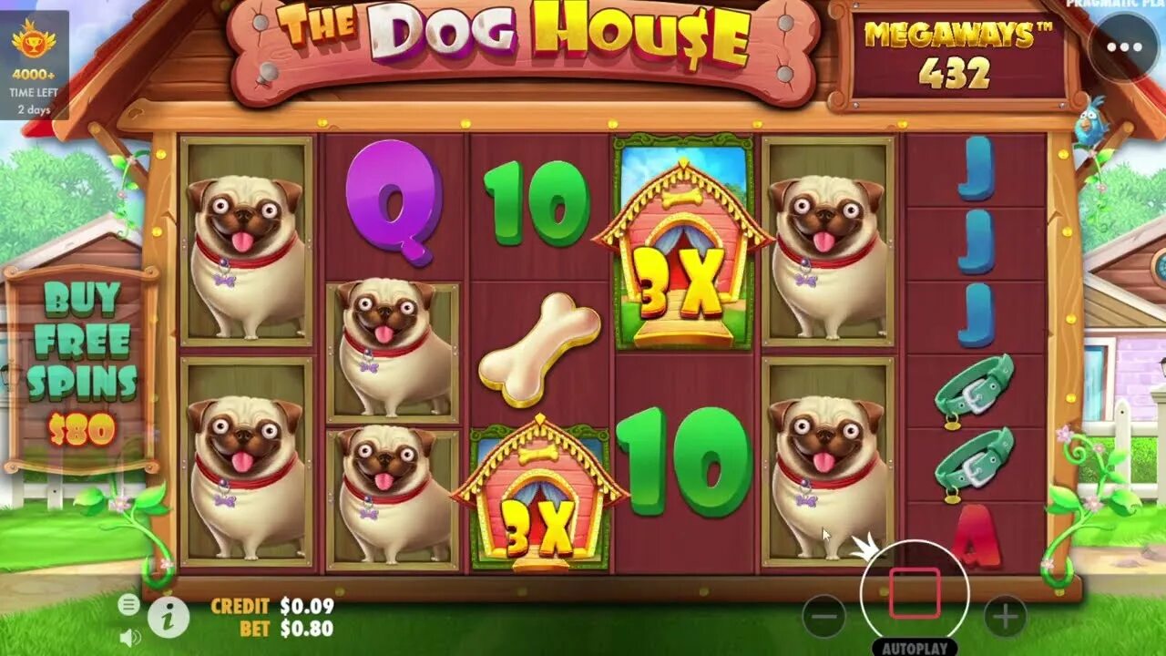 Dog House Slot. Занос в the Dog House. The Dog House megaways занос. Dog House слот 9:16. The dog house megaways dogs house net