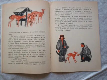 История коржиков