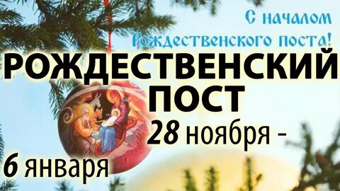 28 ноября 2019