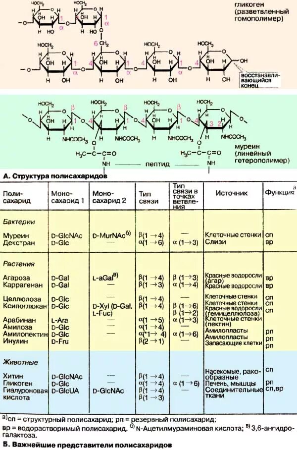 Водорастворимые полисахариды. Структура гликогена биохимия. Полисахариды формулы и названия. Структура полисахаридов.