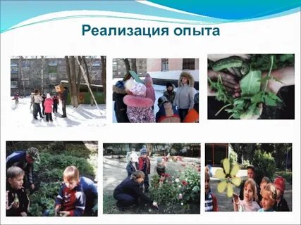 Реализация опыта