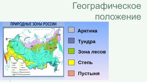 Карта россии с природными зонами - binebis.ge