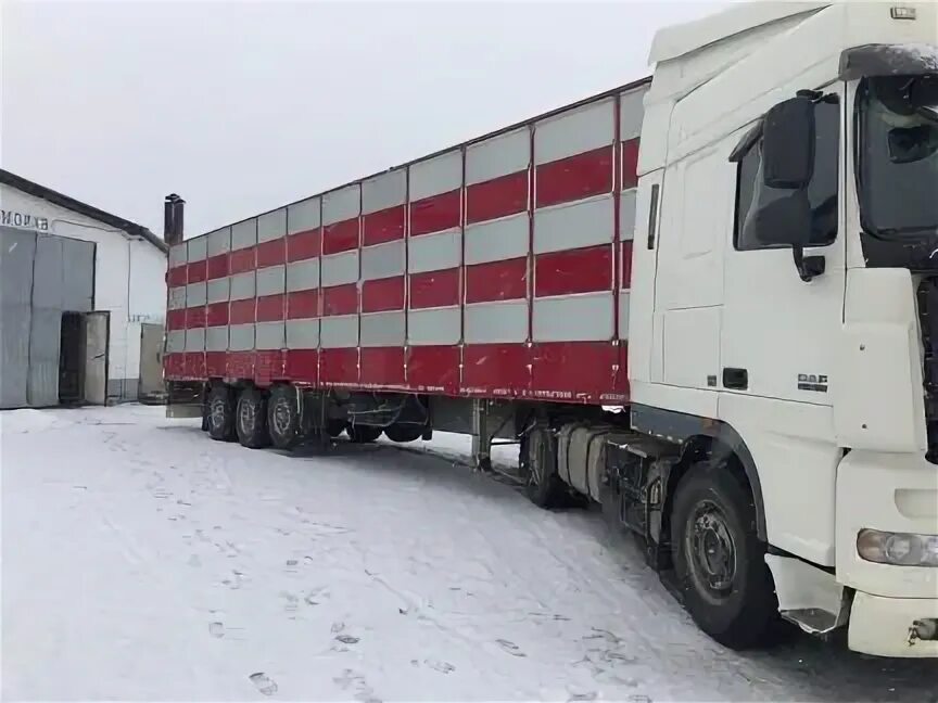 Ярославль водитель категория е. Центр подготовки водителей ярославль отзывы. Работа водителем кат е в ярославле. Ярославль водитель категория е. Категория е ютуб.