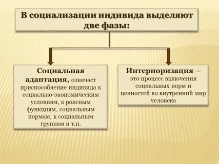 Характеристика индивида в социальной группе