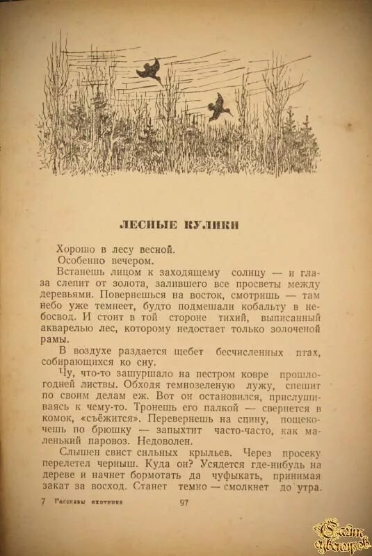 Скребицкий рассказы охотника. Книга рассказы охотника. Рассказ про охотника в лесу. Охотничьи рассказы для детей. Читать рассказы охотников