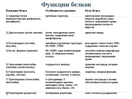 Строение и функции белков конспект