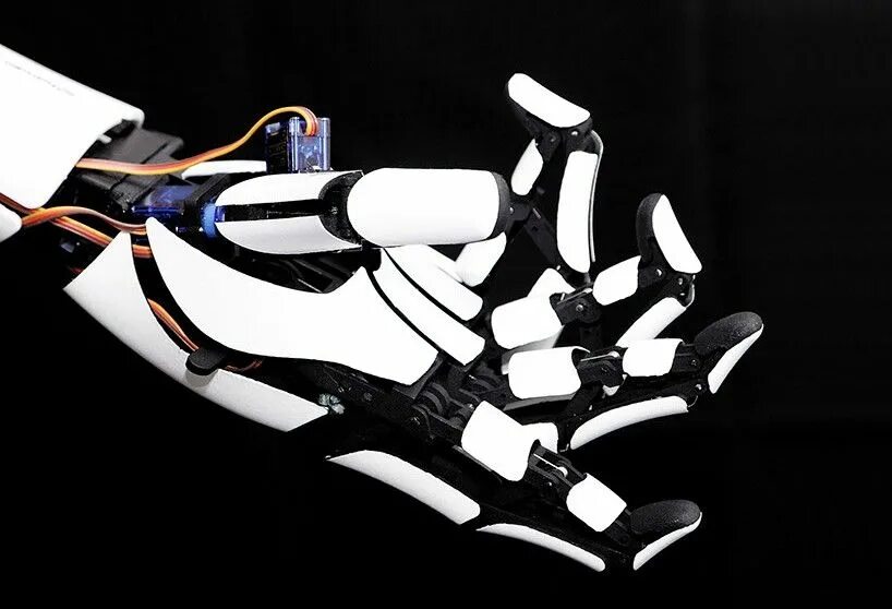 Bionic 3
