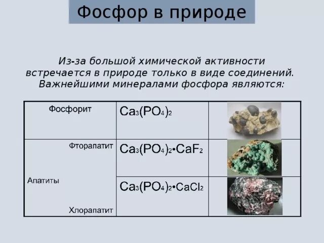 Природные соединения фосфора. Основные минералы фосфора. Соединения фосфора в природе. Фосфор в природе.