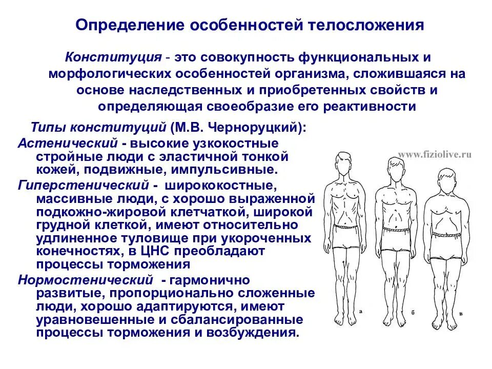 Как определяют конституцию человека. Морфологические конституциональные типы.. Конституционный Тип телосложения. Конституционный Тип телосложения человека. Типы Конституции телосложения.