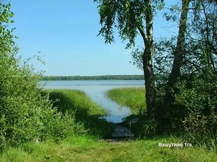 Савельево