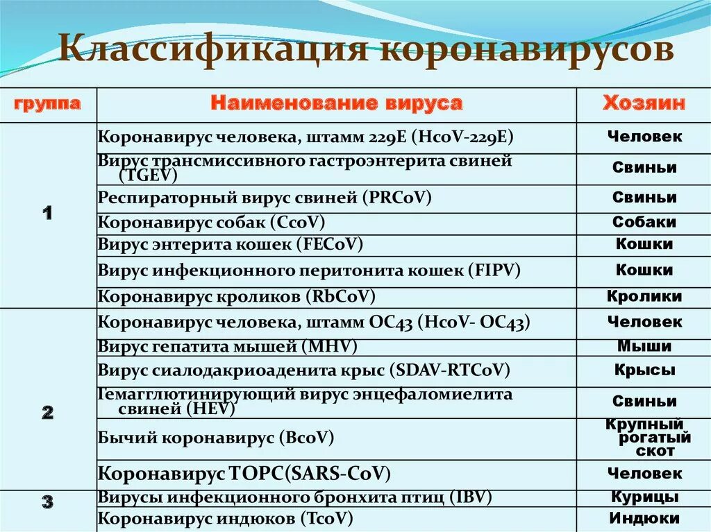 Коронавирусы относятся к