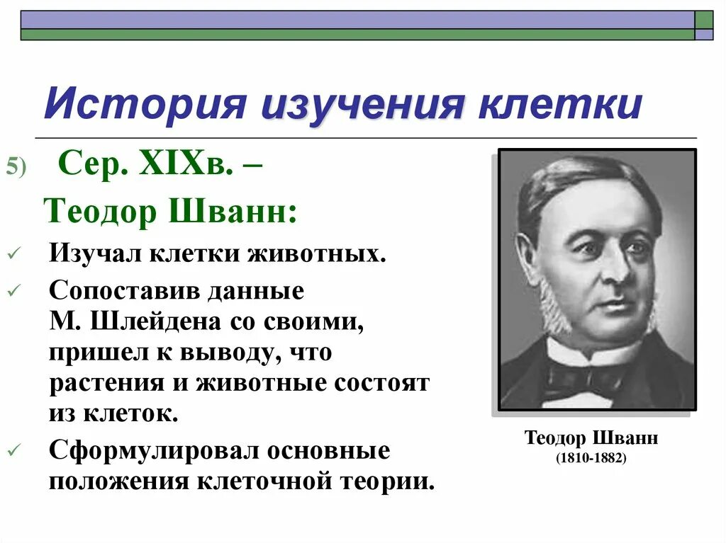 В т м клетки. Шванн Шлейден Вирхов. Теория клеточного строения Шлейдена. Шлейден и Шванн клеточная теория.