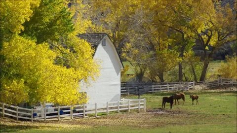 Country falls