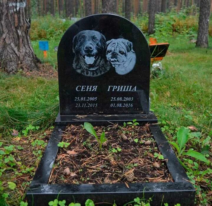 Захоронение животных. Кладбище животных в москве. кладбище домашних животных. городское кладбище животных. могилки животных.