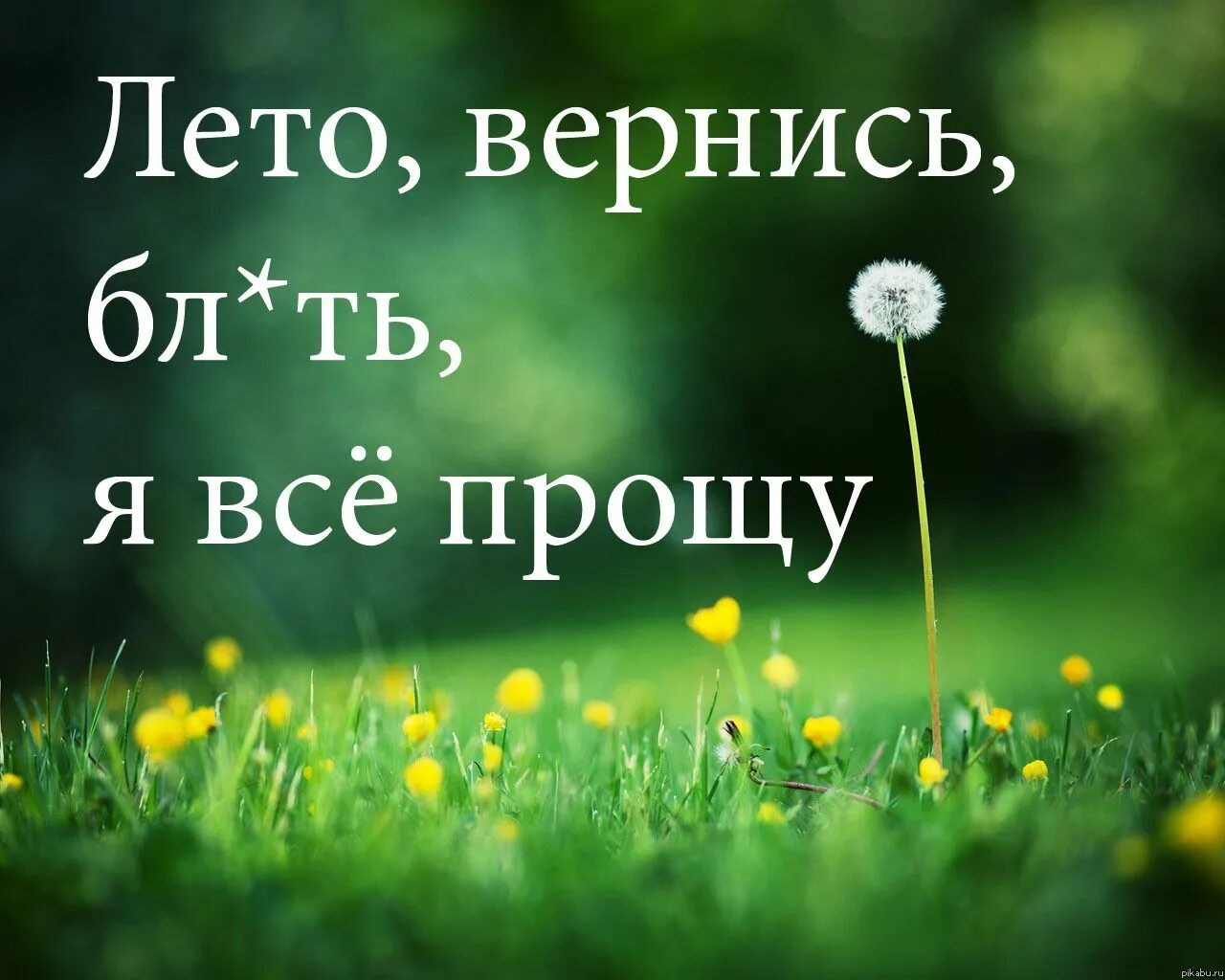 Прикольные картинки лета. Афоризмы про уходящие лето. Лето возвращается. Лето проходит. Высказывания про конец лета.