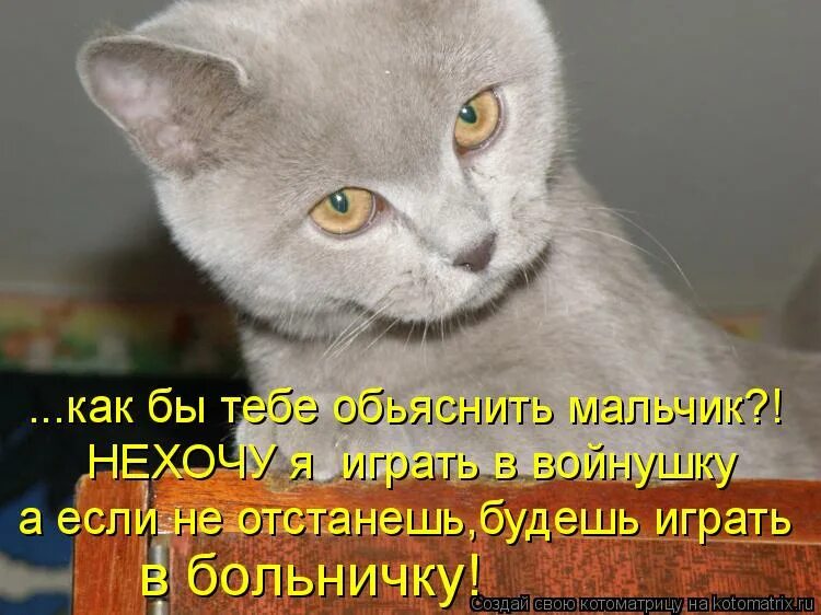 Цитаты будь проще и люди к тебе потянутся. Кошачья безысходность. Ты не хочешь общаться. Мемы про снабжение. Отстаньте от меня цитаты.