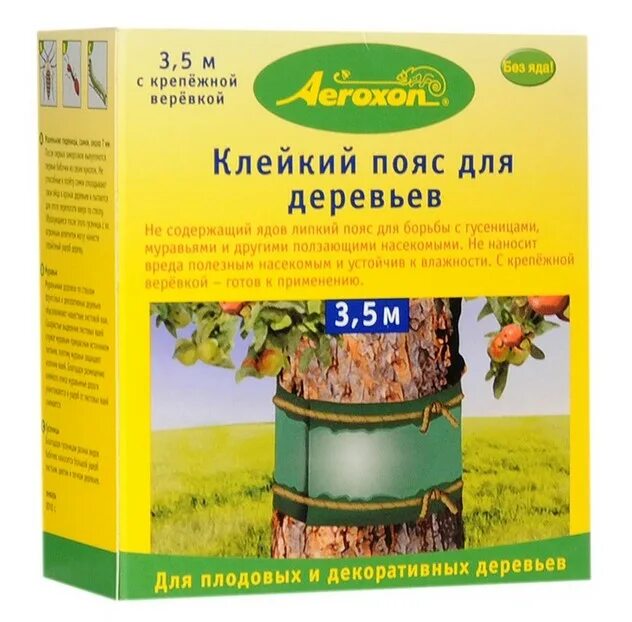 Народные средства от муравьев на плодовых деревьях. Ловчий пояс для деревьев от садовых муравьев. ловчий пояс клейкий.