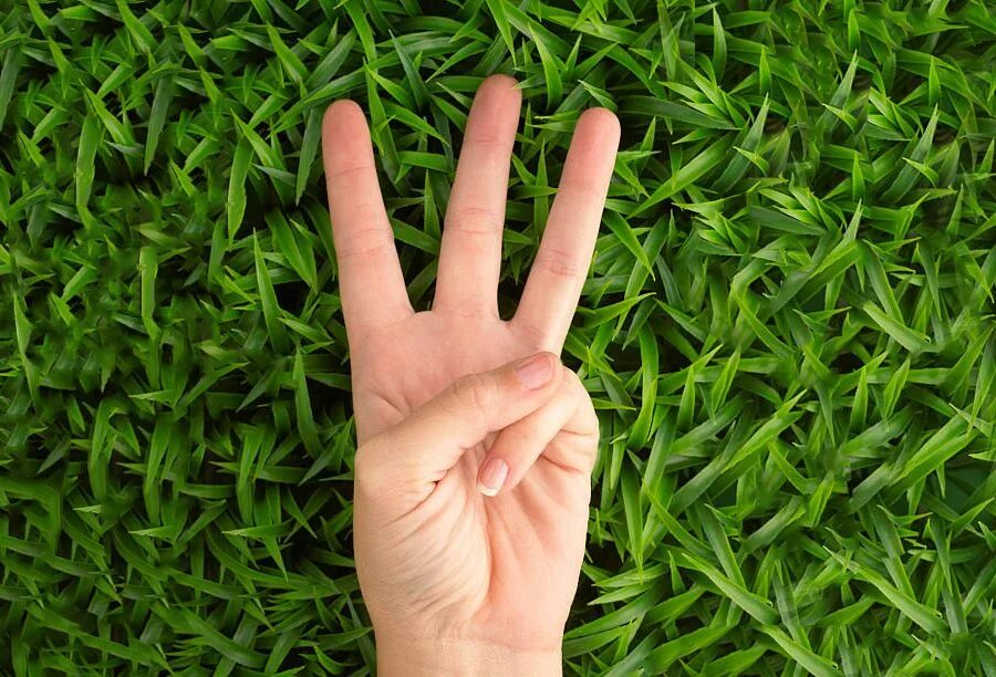 Показывать три пальца. Три пальца. Показывает 3 пальца. Жест пальцами трава. Три на пальцах картинка.
