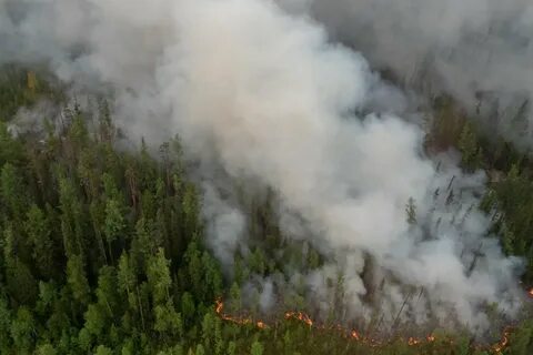 Туманы образующиеся за счет дыма лесных