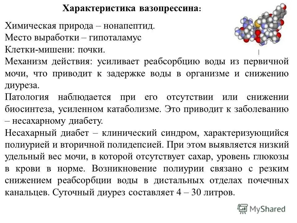 вазопрессин гормон физиологические действие. антидиуретический гормон функции в почках. антидиуретический гормон вазопрессин. механизм антидиуретического действия вазопрессина. вазопрессин физиологический эффект.