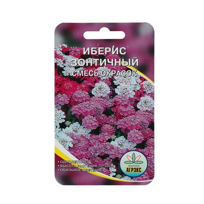 Иберис зонтичный смесь окрасок. Иберис Свит Кэнди. Иберис зонтичный семена. Иберис зонтичный фиолетовый Кардинал. Иберис купить семена