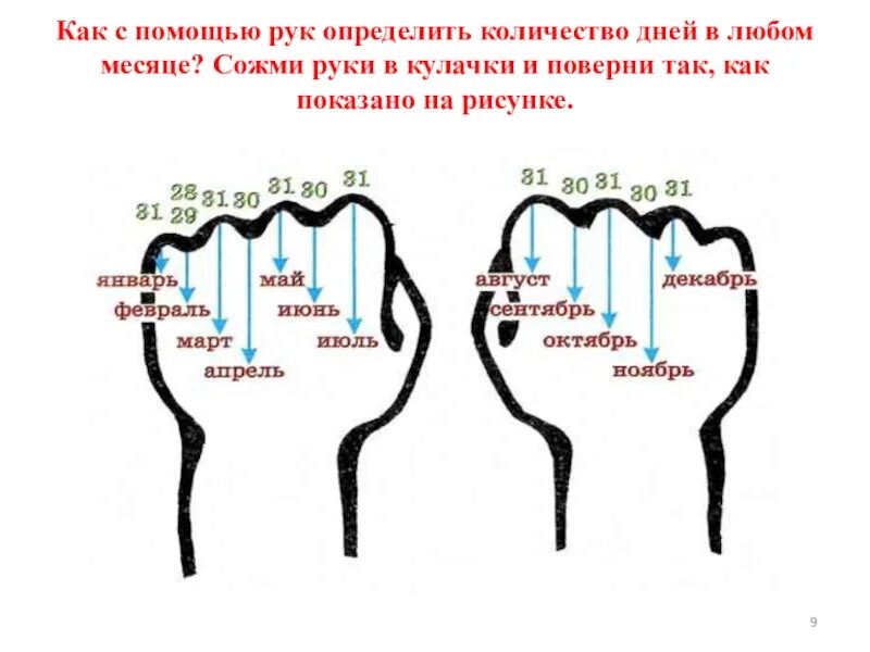 Насколько дней. Как определить сколько дней в месяце. Число дней в месяце по костяшкам. Как по руке узнать количество дней в месяце. Как определить количество дней в месяце.