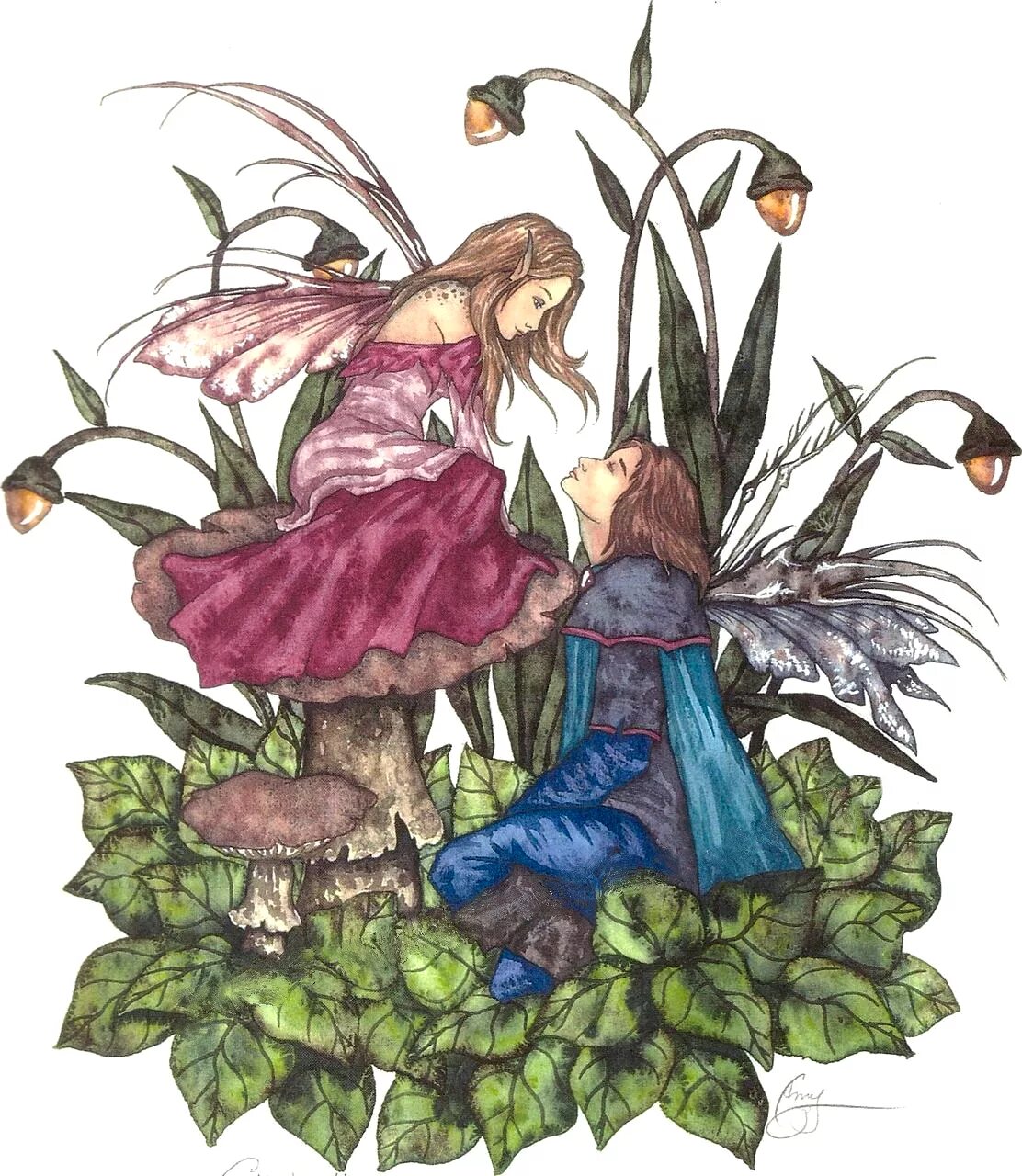 Земли эльфов. Фея романтика. Подарки феи иллюстрации к сказке. Willow Pill Fairy Art.