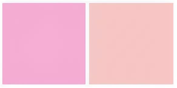 оттенки розового цвета. холодные оттенки розового. тепло розовый. холодные оттенки розового. холодный розовый цвет.