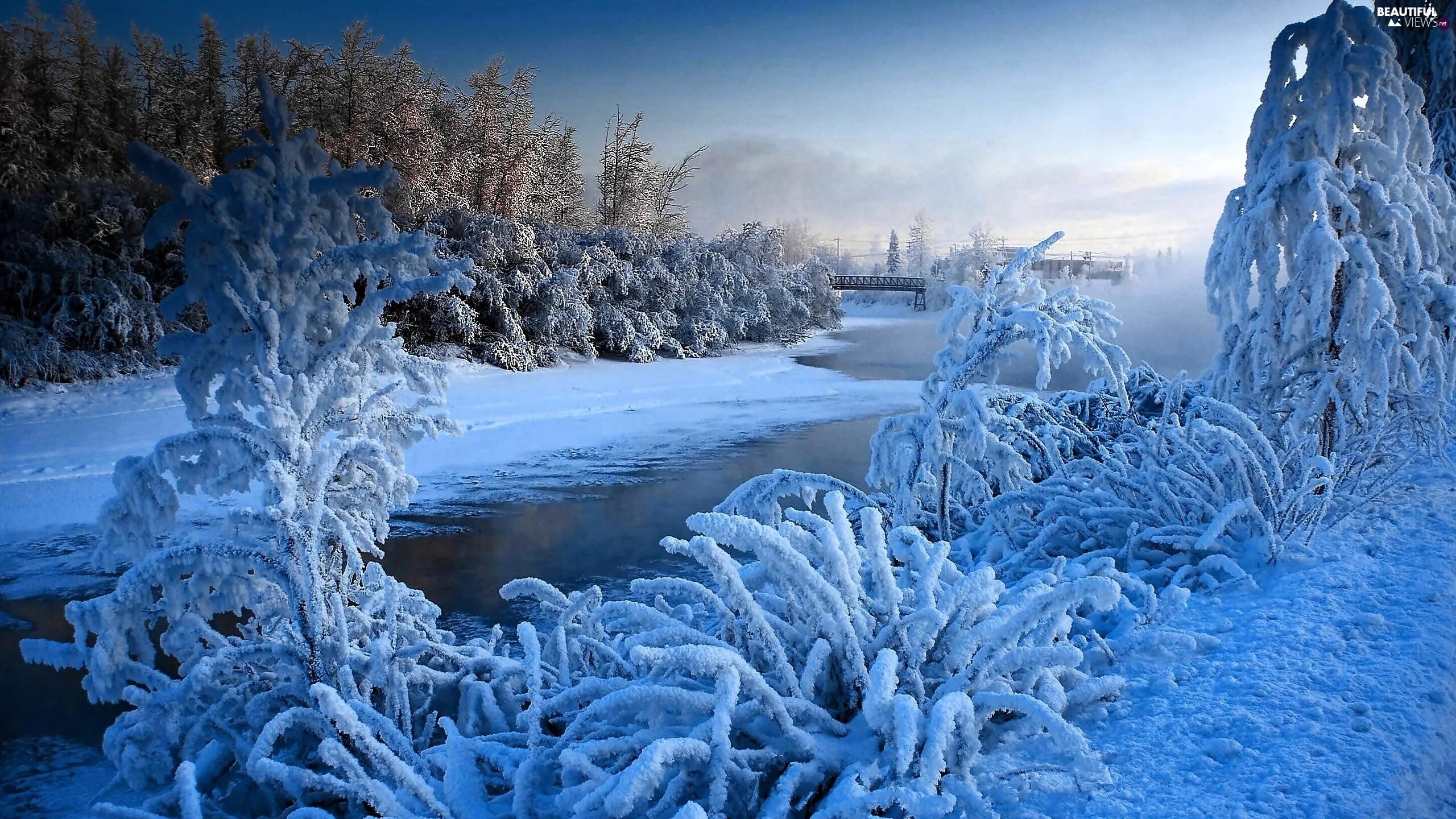 Снег мороз иней. Красивая зима. Природа зима. Зимняя красота. Снежный пейзаж.