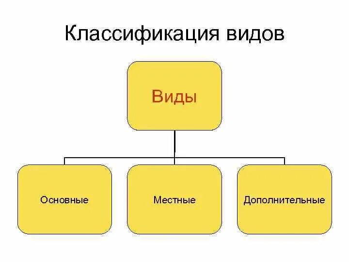 Виды изображений