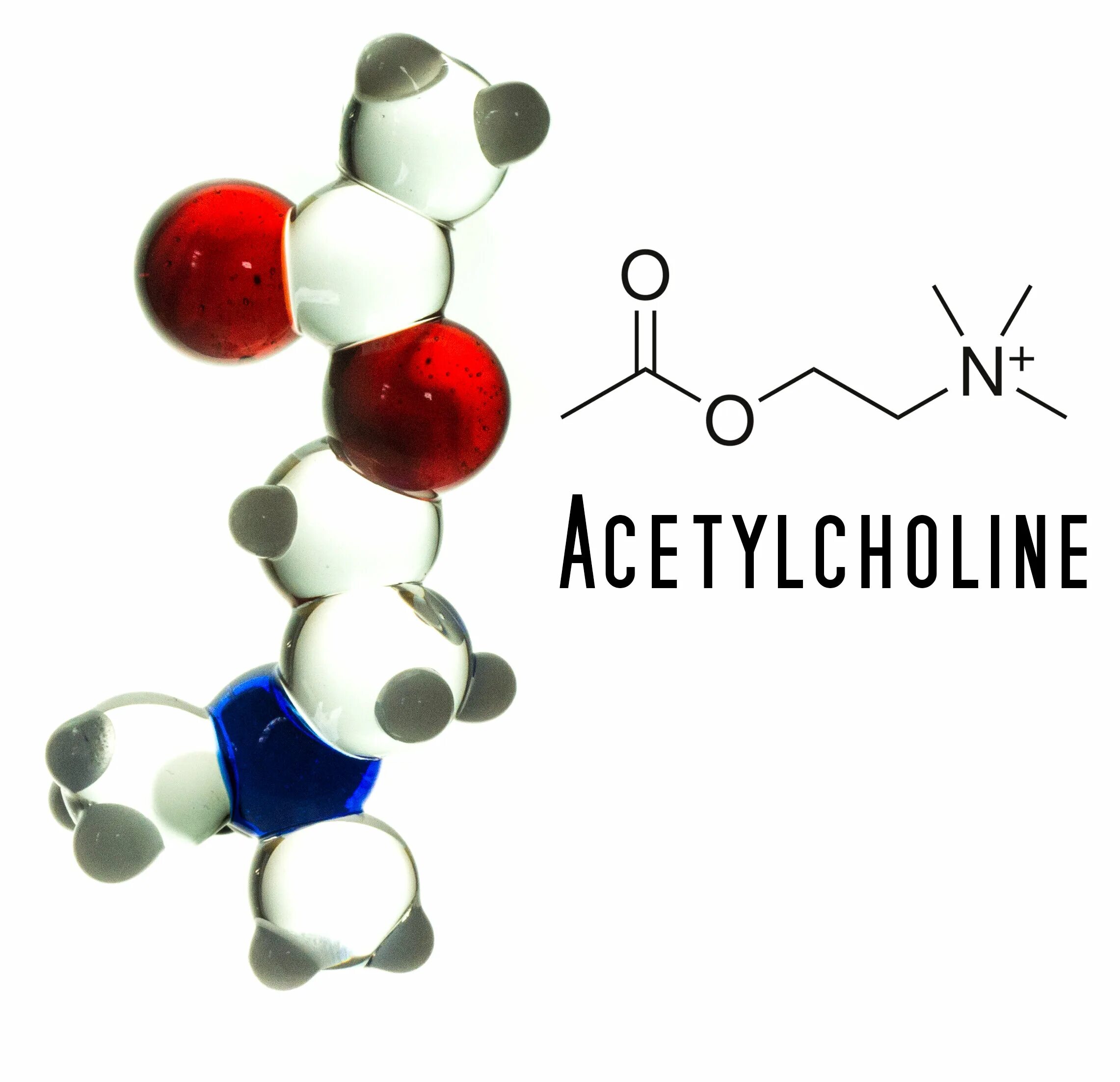 Ацетилхолин молекула. Ацетилхолин + вода. Ацетилхолина хлорид торговые марки. Ацетилхолин стразы.
