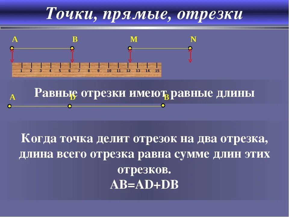 Жизнь человека делится на огромные промежутки. Равные отрезки имеют равные. Равные отрезки имеют равные длины. Измерение длин отрезков 7 класс. Измерение отрезков 5 класс.