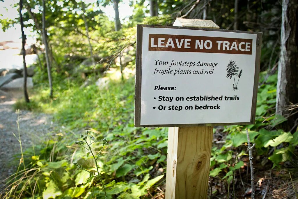 Leaves no traces