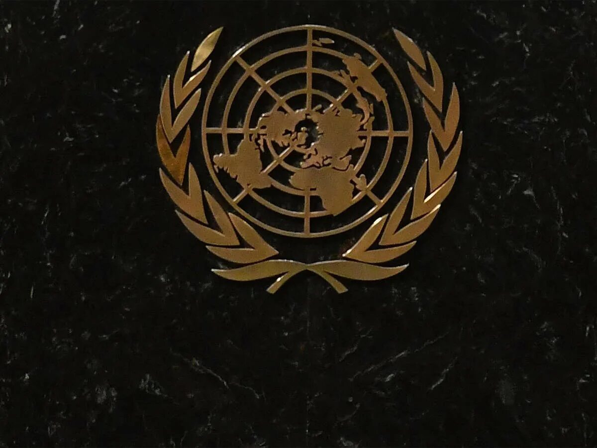 Эгида оон. Эмблема ООН. Совет безопасности ООН эмблема. Знак ООН фото. СЕФАКТ ООН эмблема.