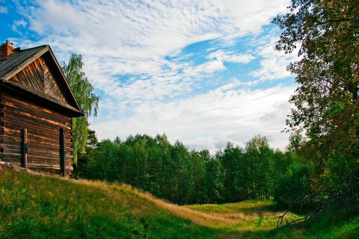 Деревенский домик. Деревня в лесу. Лето в деревне. Изба в деревне.