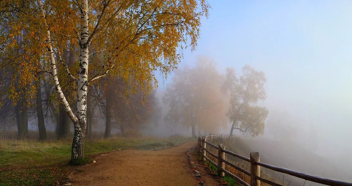 Осень туман. Осенний туман. Туманный пейзаж. Осенний пейзаж туман.