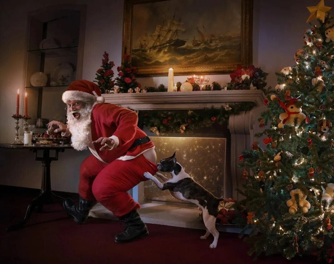 С новым годом карикатура. Карикатура новый год. Карикатуры новогодние смешные. Приколы на новогоднюю тему. Карикатуры новогодние смешные.