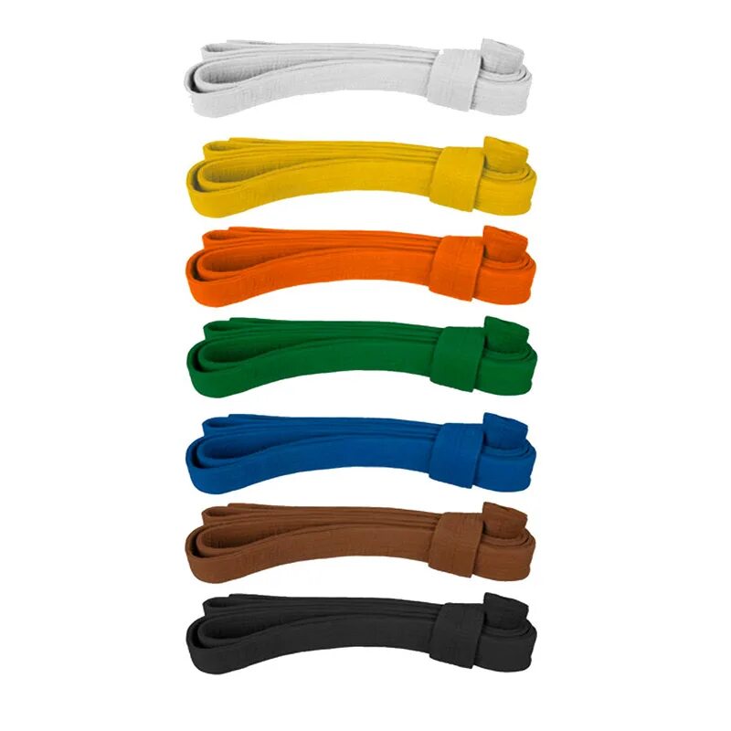 пояса в дзюдо по порядку по цвету. система поясов в дзюдо. цвета поясов в дзюдо. дзюдо пояса по порядку. степени поясов в дзюдо.