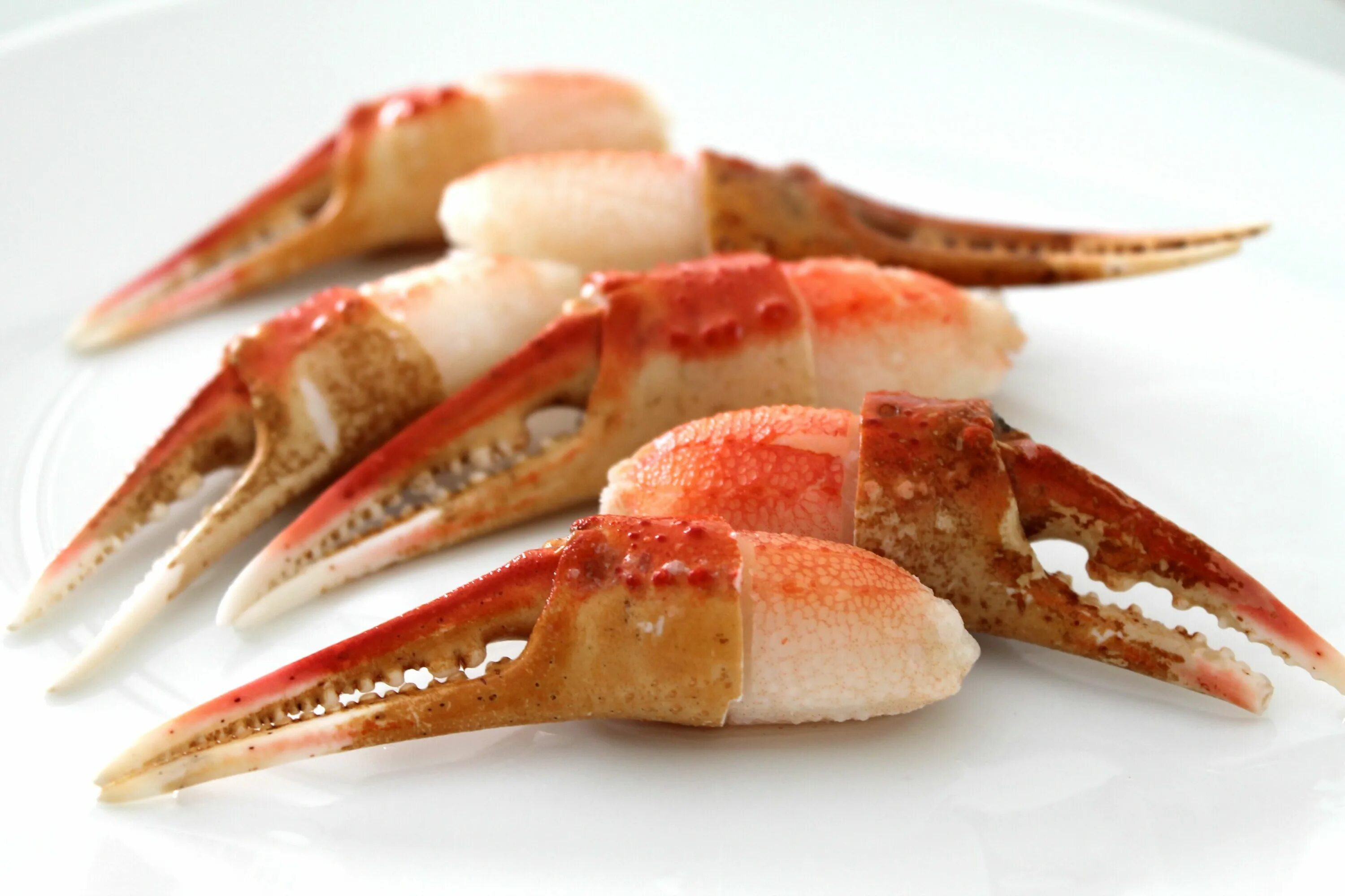 Краб опилио что это. Острые клешни. мясо краба кулак с когтем. crab claw. крабовое мясо snow crab.