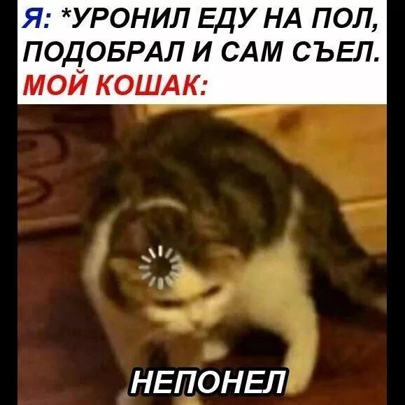 Мем кот с загрузкой Лютые приколы. ЗАВИС ДО КАНИКУЛ!!! САМОЕ смешное видео! Засмеялся проиграл! Do