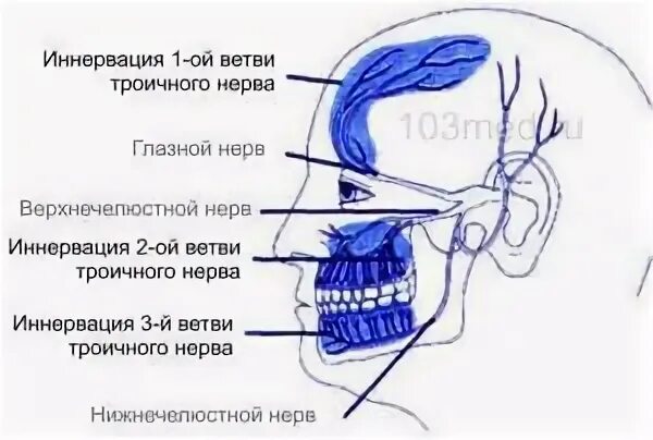 Лицевой нерв мкб 10 код