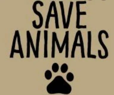 Because animals