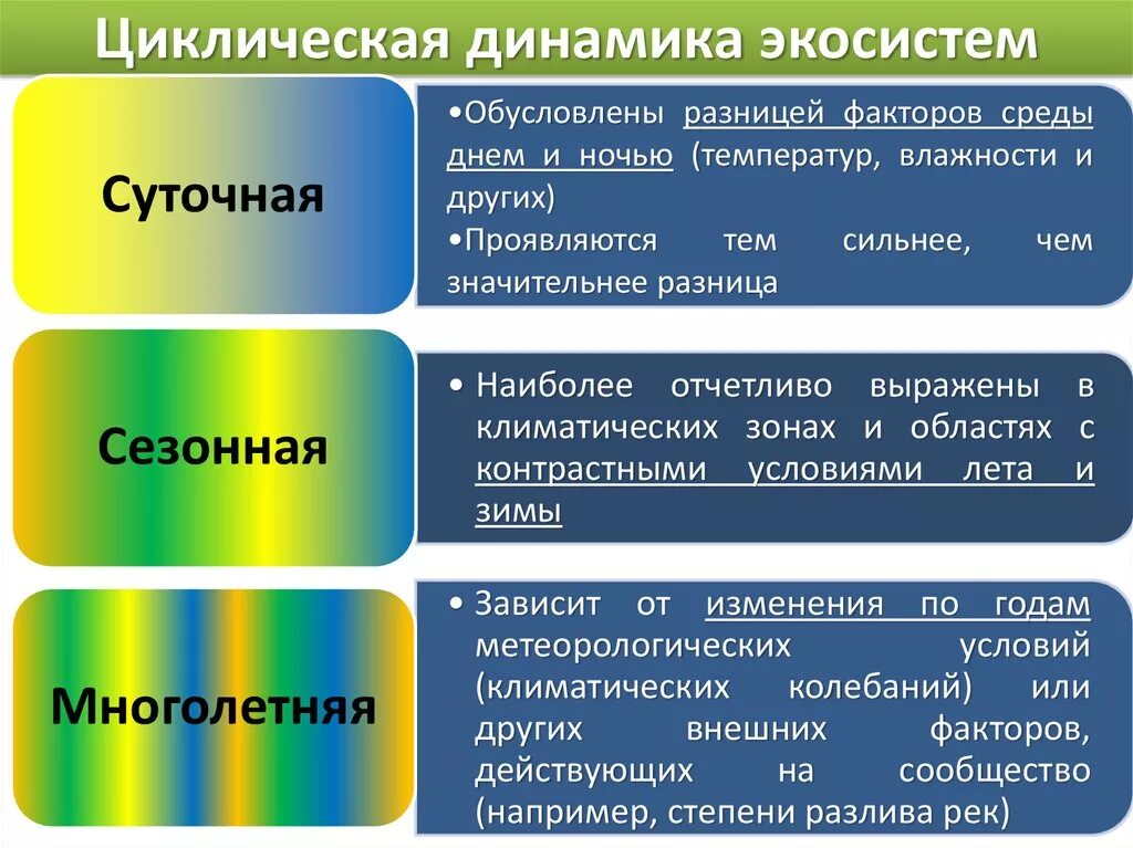 Различие падения и обусловлено. Циклические изменения экосистем. Циклическая динамик экосистем. Суточные и сезонные изменения биогеоценозов. Циклические изменения биогеоценозов.